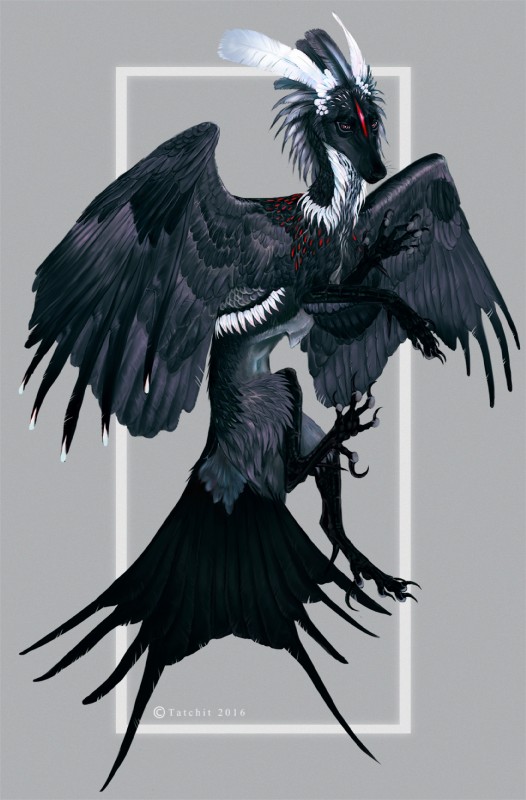 ambiguous_gender black_body black_feathers black_nose claws feathered_wings feathers feral solo spikes spikes_(anatomy) wings nukerooster feonix 2016 hi_res