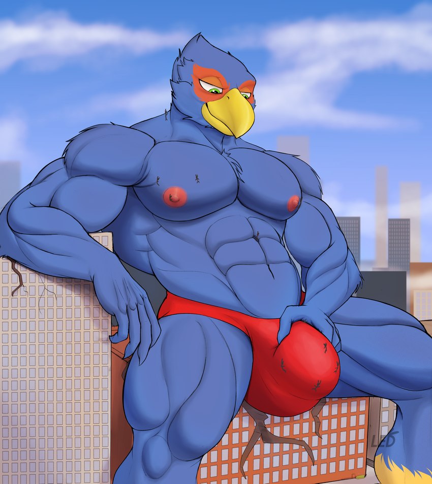 anthro beak blue_body building bulge city clothing detailed_bulge holding_bulge inside_clothing inside_underwear macro male micro_on_chest muscular muscular_male sitting speedo swimwear worship led_owo nintendo star_fox falco_lombardi avian bird absurd_res hi_res