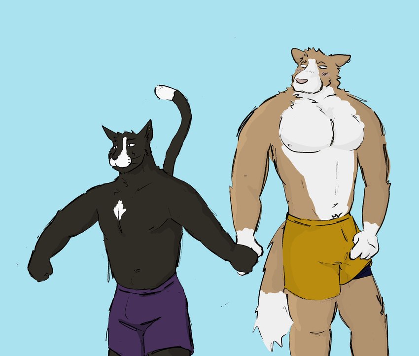 anthro beach beachwear body_hair bottomwear bulge clothed clothing date duo fur hand_holding happy_trail male male/male muscular muscular_male navel nervous nipples pecs piercing raised_tail shorts shorts_only simple_background simple_coloring size_difference tail topless white_body white_fur dickinoatmeal canid canine canis domestic_cat domestic_dog felid feline felis humanoid mammal digital_media_(artwork) hi_res