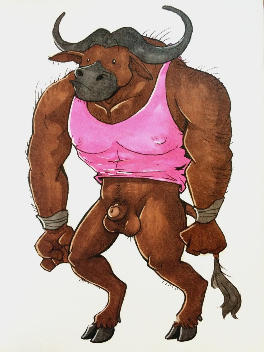 5_fingers anthro balls beady_eyes biceps big_chest big_pecs biped broad_shoulders brown_body clothing cloven_hooves erect_nipples fingers flaccid foreskin genitals glans hairy hooves horn humanoid_genitalia humanoid_penis male micropenis muscular muscular_anthro muscular_male nipple_outline nipples pecs penis pink_clothing pink_shirt pink_topwear shirt simple_background small_penis solo standing tail tail_tuft tank_top top_heavy topwear tuft unguligrade white_background littlestfuzz super_fuck_friends tuffalo bovid bovine cattle mammal 3:4 absurd_res hi_res marker_(artwork) traditional_media_(artwork)