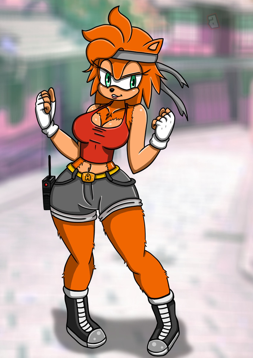 alley the hedgehog and fan character (sonic the hedgehog (series) and etc) created by prezer0