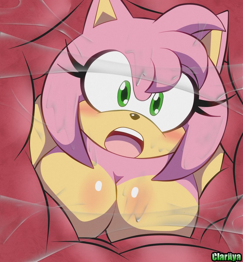 amy rose and rouge the bat (sonic the hedgehog (series) and etc) created by claraya