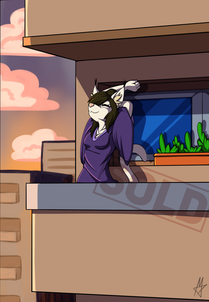 anthro balcony block detailed_background female flower_box morning outside solo stretching yam-i masterzoroark666 domestic_cat felid feline felis mammal wild_cat absurd_res digital_drawing_(artwork) digital_media_(artwork) distracting_watermark hi_res shaded watermark