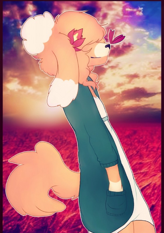 anthro black_nose brown_body brown_fur brown_hair clothed clothing femboy fluffy fluffy_tail fur hair male outside solo sunset tail kotcn maly_paczek canid canine canis domestic_dog mammal hi_res