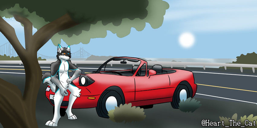 pikie folfuwu (mazda miata and etc) created by @heart the cat