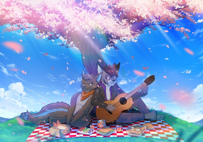 acoustic_guitar anthro basket blurred_foreground cherry_blossom cherry_blossom_tree cherry_tree cloud container eye_contact flower food fruit_tree grass guitar jar looking_at_another male male/male musical_instrument outside petals picnic picnic_blanket plant plucked_string_instrument prunus_(flower) sandwich_(food) sitting sky string_instrument tree stampmats canid canine canis mammal wolf