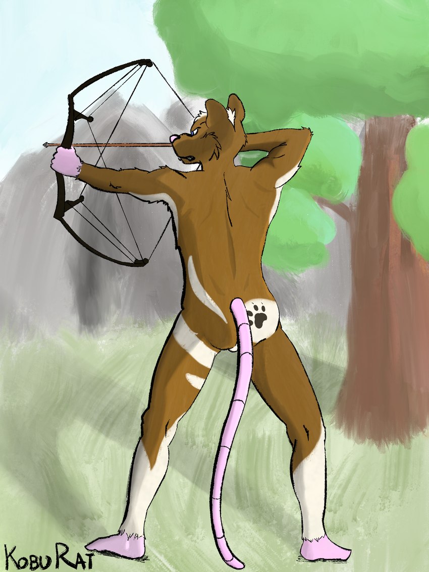 5_fingers angry anthro archer archery arrow_(weapon) athletic backsack balls barely_visible_balls barely_visible_genitalia biped blue_eyes bow_(weapon) brown_body brown_fur buckteeth butt butt_tattoo casual_nudity clenched_teeth countershade_butt countershading feet fingers footprint forest forest_background fur genitals grass hair holding_arrow holding_bow_(weapon) holding_object holding_ranged_weapon holding_weapon humanoid_feet leg_markings male male_anthro markings mountain nature nature_background nude outdoor_nudity outside pawprint pawprint_(marking) pawprint_on_body pawprint_tattoo pink_feet pink_hands pink_nose pink_tail plant plantigrade pose public public_nudity ranged_weapon rear_view skinny socks_(marking) soles solo spine standing tail tail_down tattoo teeth teeth_showing tree weapon whiskers white_hair white_markings sarahratte socks_the_rat_(character) mammal murid murine rat rodent 2020 absurd_res colored colored_sketch digital_drawing_(artwork) digital_media_(artwork) hi_res pinup shaded signature sketch