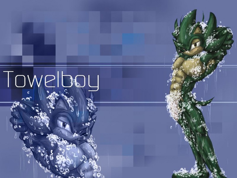 towelboy the hedgehog (sonic the hedgehog (series) and etc) created by gree