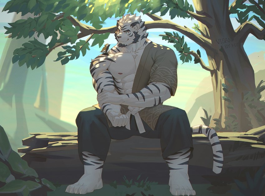 abs anthro biceps biped carrying_another clothed clothing dark_body dark_feathers day detailed_background duo feathers feral forearm_muscles fur grass leaf male muscular muscular_anthro muscular_male nipples on_shoulder outside pecs plant rock sitting solo_focus striped_body striped_fur stripes tree white_body white_fur wood yellow_body yellow_feathers fdj avian bird felid mammal pantherine tiger 2021 digital_media_(artwork) hi_res shaded signature