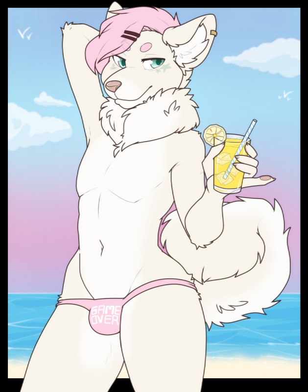 accessory anthro beach beverage bulge clothed clothing curled_tail detailed_background drinking_straw ear_piercing femboy food fruit fur gesture green_eyes hair hair_accessory hairclip hand_behind_head lemon long_fur looking_at_viewer male navel outside piercing pink_hair pink_nose plant pose raised_finger raised_pinky sand seaside sky solo speedo swimwear tail tan_body tan_fur topless water white_body white_fur zyira reegan canid canine canis domestic_dog mammal pomeranian spitz alpha_channel digital_media_(artwork) hi_res pinup