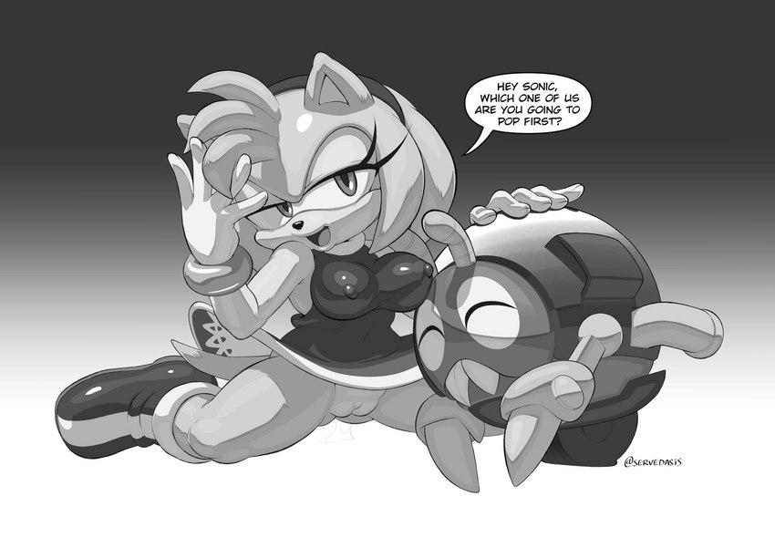 amy rose (sonic the hedgehog (series) and etc) created by rockthebull