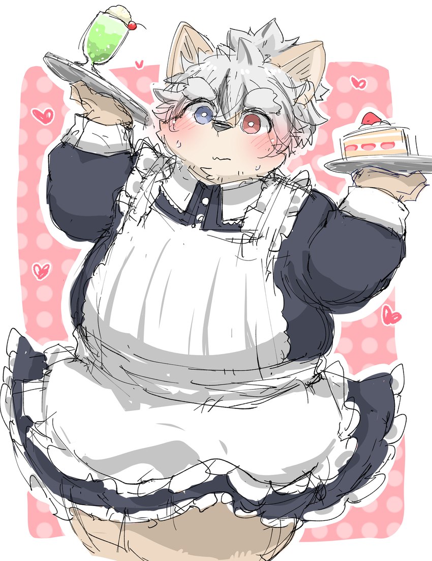 anthro blush brown_body brown_fur cake clothed clothing crossdressing dessert food fur hair heterochromia maid_apron maid_uniform male obese obese_male overweight overweight_male serving_tray solo uniform white_hair young one_oneyyy lifewonders tokyo_afterschool_summoners masashi_(tas) canid canine canis domestic_dog mammal absurd_res hi_res