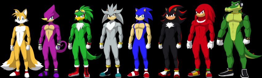 anthro clothing feet footwear gloves group handwear humanoid_feet male muscular plantigrade shoes simple_background transparent_background darkshiner8 sparksstars sega sonic_riders sonic_the_hedgehog_(series) espio_the_chameleon jet_the_hawk knuckles_the_echidna miles_prower shadow_the_hedgehog silver_the_hedgehog sonic_the_hedgehog vector_the_crocodile accipitrid accipitriform avian bird canid canine chameleon crocodile crocodilian echidna eulipotyphlan fox hedgehog lizard mammal monotreme reptile scalie absurd_res alpha_channel hi_res model_sheet