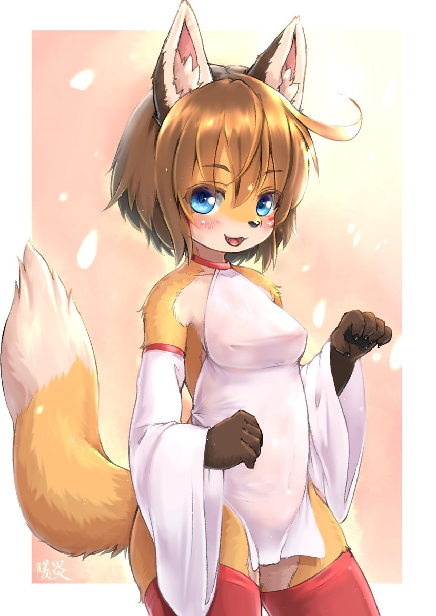 adolescent anthro armwear blue_eyes blush brown_body brown_fur brown_hair clothing detached_sleeves female fur hair halterneck inner_ear_fluff kemono legwear looking_at_viewer multicolored_body multicolored_fur nipple_outline open_mouth red_clothing red_legwear short_hair solo thigh_highs tuft young shiitakemeshi canid canine fox mammal red_fox true_fox digital_media_(artwork) hi_res