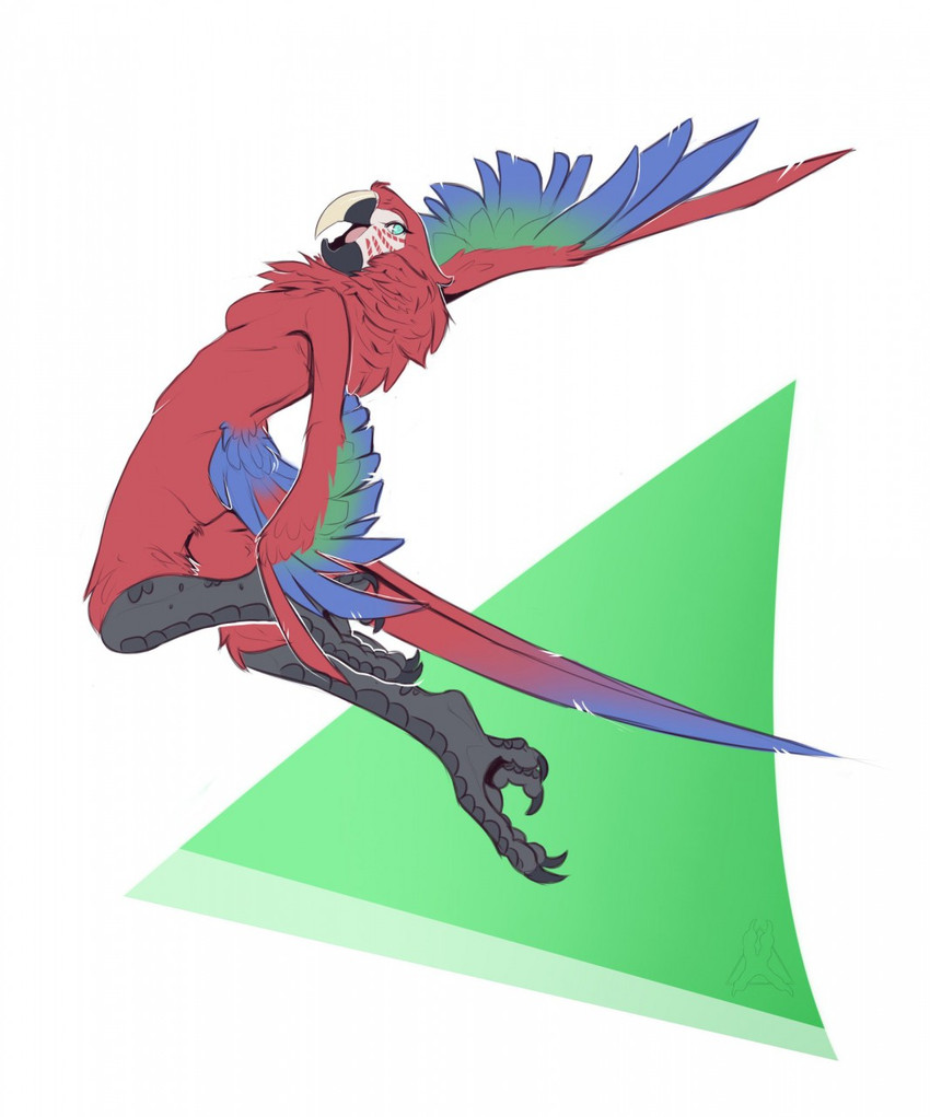 4_toes anisodactyl anthro avian_feet beak bird_legs breasts chest_tuft claws feathered_wings feathers featureless_breasts feet female long_tail looking_at_viewer non-mammal_breasts nude open_mouth red_body red_feathers side_boob smile solo tail tail_feathers toe_claws toes tuft winged_arms wings omumacaw omu avian bird macaw neotropical_parrot parrot true_parrot hi_res