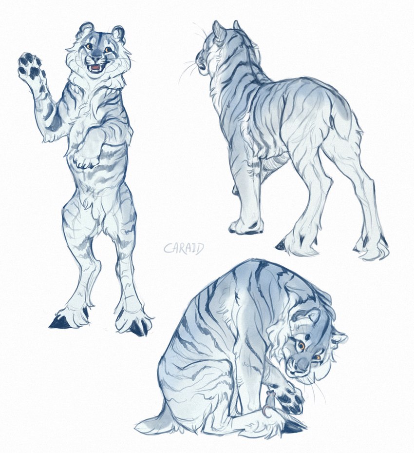 4_toes ambiguous_gender blue_body blue_fur blue_stripes feet feral fur open_mouth paws smile solo striped_body striped_fur stripes teeth toes tongue caraid felid mammal pantherine tiger 2022 digital_media_(artwork) hi_res