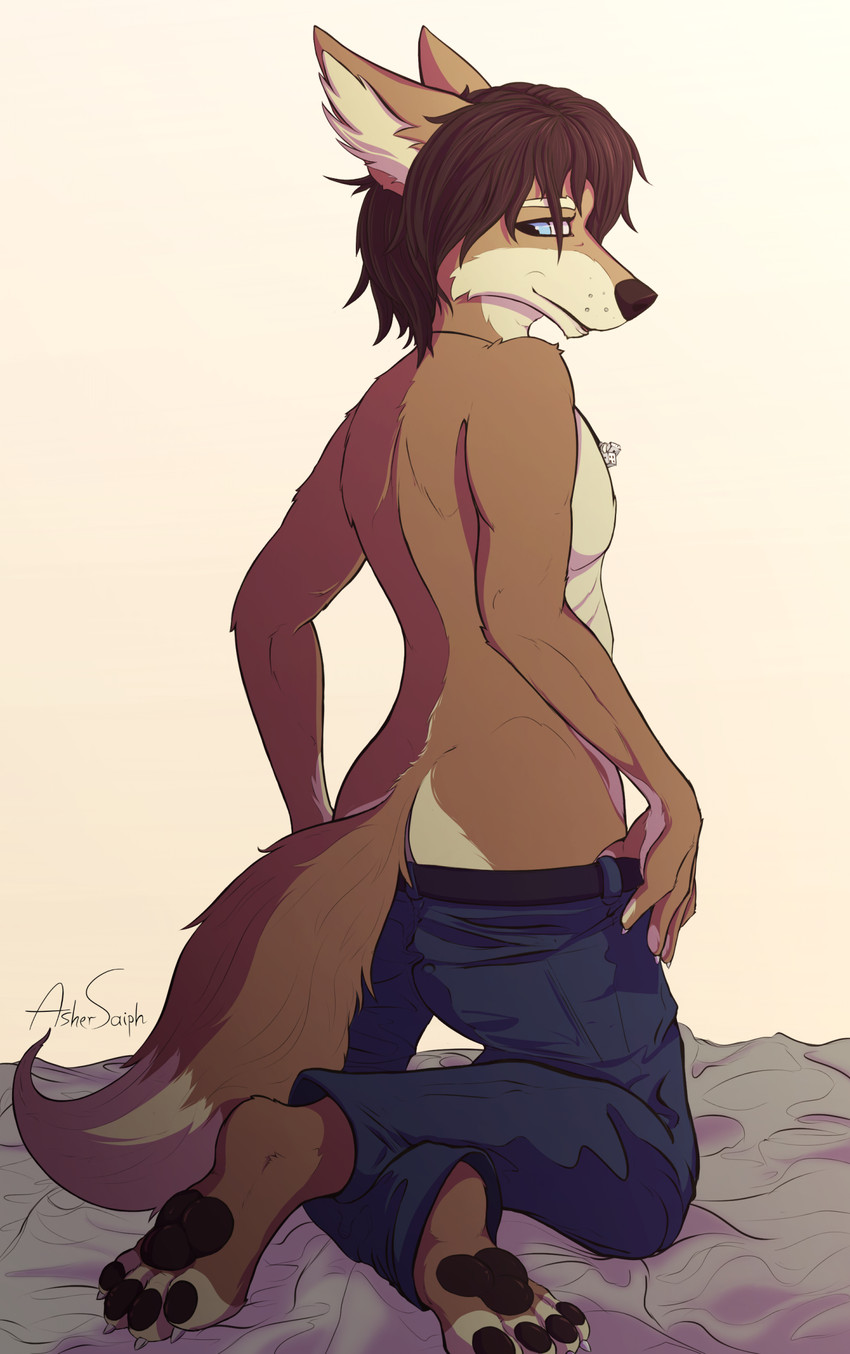 anthro blue_eyes bottomwear bottomwear_down brown_body brown_fur butt clothed clothing d6 dice feet fur jewelry male necklace pants pants_down partially_clothed pawpads paws smile solo toes volp3 asher_saiph canid canine canis jackal mammal hi_res