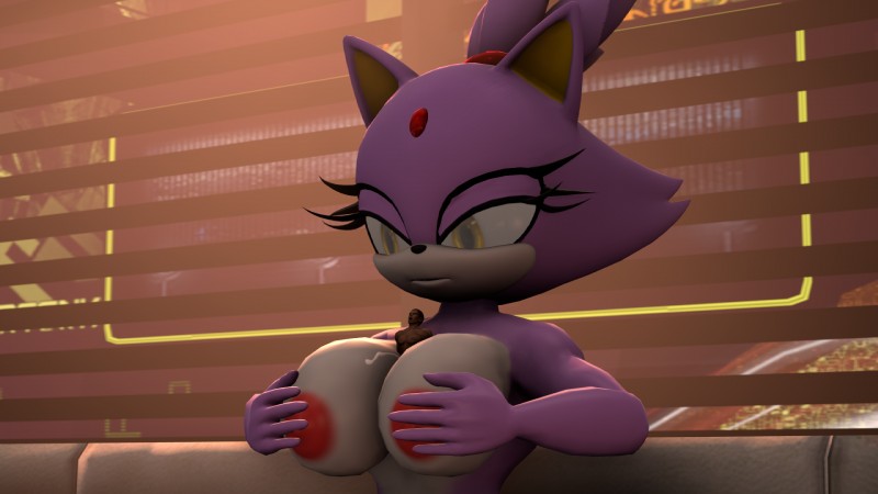 blaze the cat (sonic the hedgehog (series) and etc) created by fox whisper85