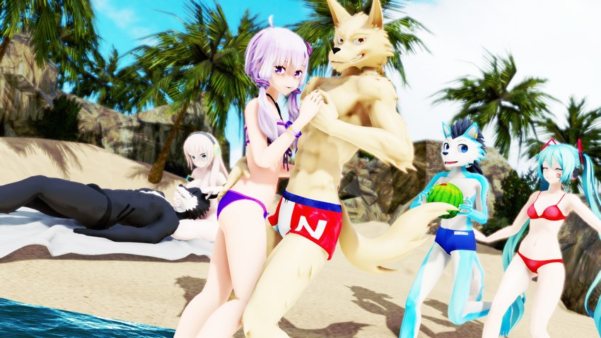 anthro beach black_hair blue_body blue_eyes blue_fur blush breasts duo female food fruit fur hair long_hair looking_at_viewer male male/female melon muscular muscular_male plant purple_hair seaside towel watermelon white_body white_fur malicekira utau vocaloid darky_ryu hatsune_miku megurine_luka rou_kemonone sou_notamine yuzuki_yukari canid canine canis domestic_dog human mammal wolf 16:9 3d_(artwork) digital_media_(artwork) hi_res mikumikudance_(artwork) widescreen