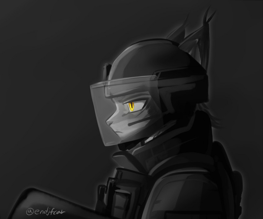 ambiguous_gender anthro armor body_armor clothing fur grey_body grey_fur headgear helmet police police_uniform riot_gear riot_police side_view simple_background solo uniform visor yellow_eyes endjfcar hartman_(hunglee) felid feline lynx mammal 2018 6:5 hi_res