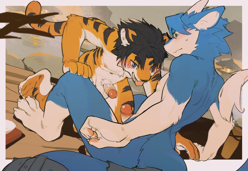 anthro balls black_hair blue_body blue_eyes blue_fur blue_hair blush duo erection fur genitals hair humanoid_genitalia humanoid_penis looking_at_another looking_at_partner male male/male penis tail tongue tongue_out white_body white_fur yellow_body yellow_fur juo1 felid mammal pantherine tiger 2023 hi_res