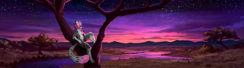 anthro cloud dark_spots female fur grey_body grey_fur hair mountain pink_hair plant river savanna sky solo star sunset tree ultrawide peyzazhik fynnley_(character) domestic_cat felid feline felis mammal mixed_breed savannah_cat absurd_res hi_res wallpaper