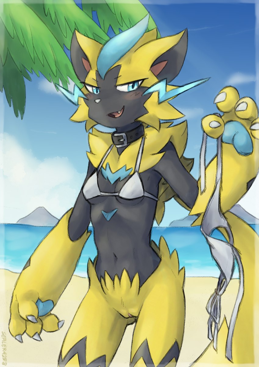 anthro beach bikini biped black_body blue_body blue_eyes blue_fur blush bottomless breasts clothed clothing female fur genitals holding_bikini holding_bikini_bottom holding_clothing holding_object holding_swimwear navel pawpads pussy seaside small_breasts solo swimwear two-piece_swimsuit yellow_body yellow_fur sealer4258 nintendo pokemon generation_7_pokemon legendary_pokemon pokemon_(species) zeraora absurd_res hi_res