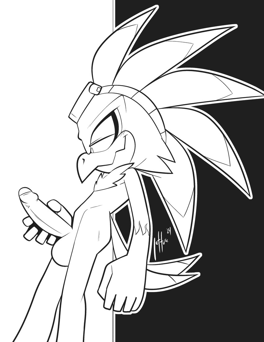 jet the hawk (sonic the hedgehog (series) and etc) created by lettuce (artist)