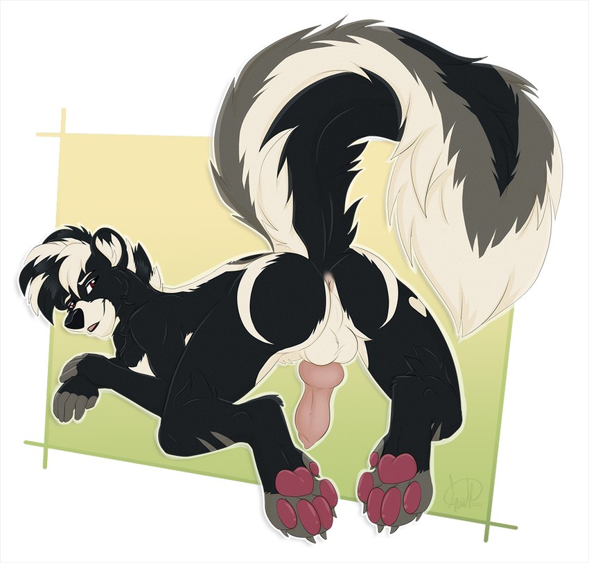 all_fours anthro anus balls bedroom_eyes butt fluffy fluffy_tail genitals knot looking_at_viewer looking_back looking_back_at_viewer male narrowed_eyes pawpads paws perineum pose presenting presenting_hindquarters raised_tail seductive sexy_eyes skunk_tail slim small_butt solo tail kwik_(artist) kaden_(luniethewolf66) mammal mephitid skunk pinup