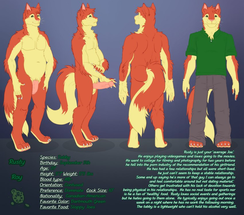 anthro clothing description erection genitals green_clothing green_shirt green_topwear humanoid_genitalia humanoid_penis male penis shirt solo tail text topwear turnaround germees lightdevil behind_the_lens rusty_(behind_the_lens) domestic_cat felid feline felis mammal english_text model_sheet