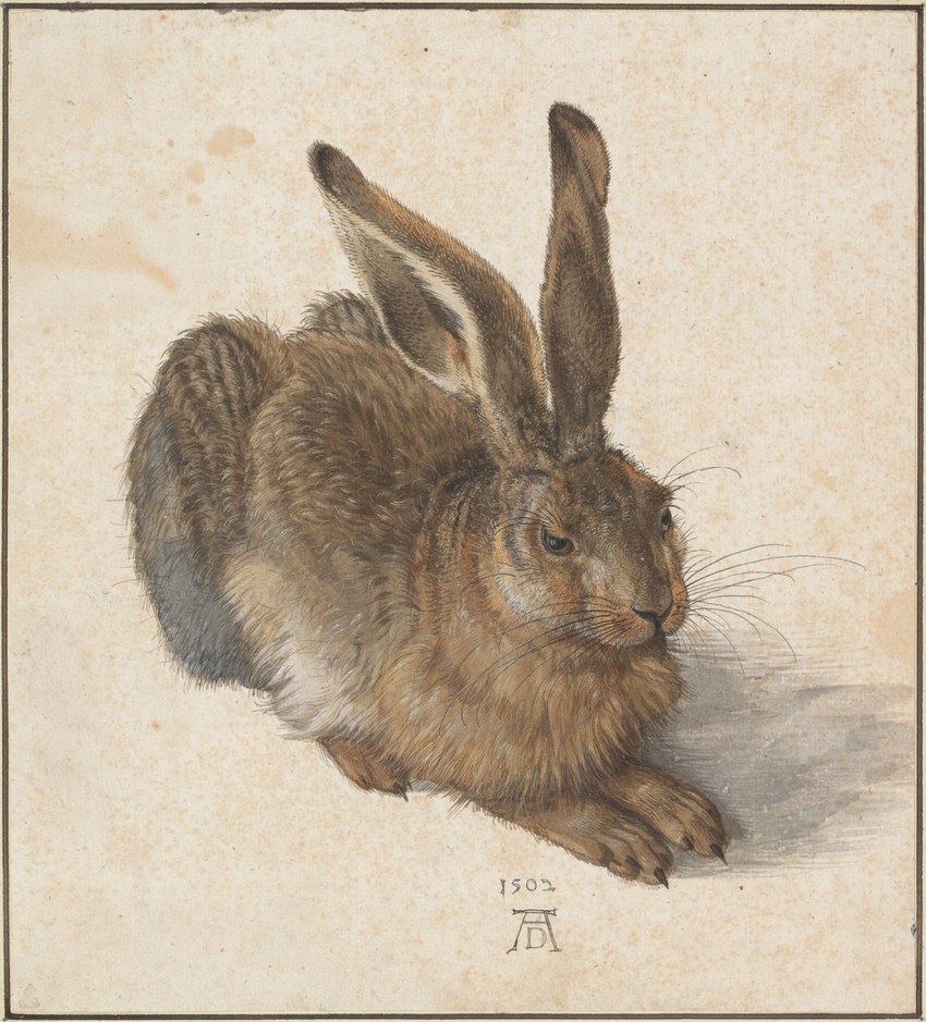 public domain created by albrecht durer