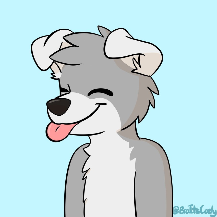 anthro black_nose blep eyes_closed floppy_ears fur grey_body grey_fur grey_hair hair male monotone_hair multicolored_body multicolored_fur simple_background solo tongue tongue_out two_tone_body two_tone_fur white_body white_ears white_fur broitscody cody_(broitscody) canid canine canis domestic_dog husky mammal nordic_sled_dog spitz 1:1 2020 hi_res watermark