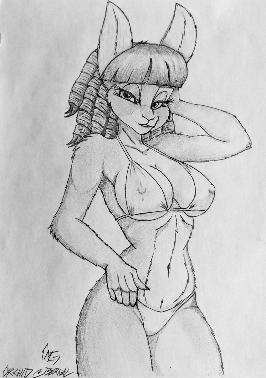 anthro athletic bangs bikini bowl_cut clothing curled_hair curvy_figure drill_curls female hair hand_in_hair hand_on_hip looking_at_viewer model pose solo swimwear touching_hair two-piece_swimsuit omgawd lagomorph leporid mammal rabbit black_and_white graphite_(artwork) hi_res monochrome pencil_(artwork) portrait sketch three-quarter_portrait traditional_media_(artwork)