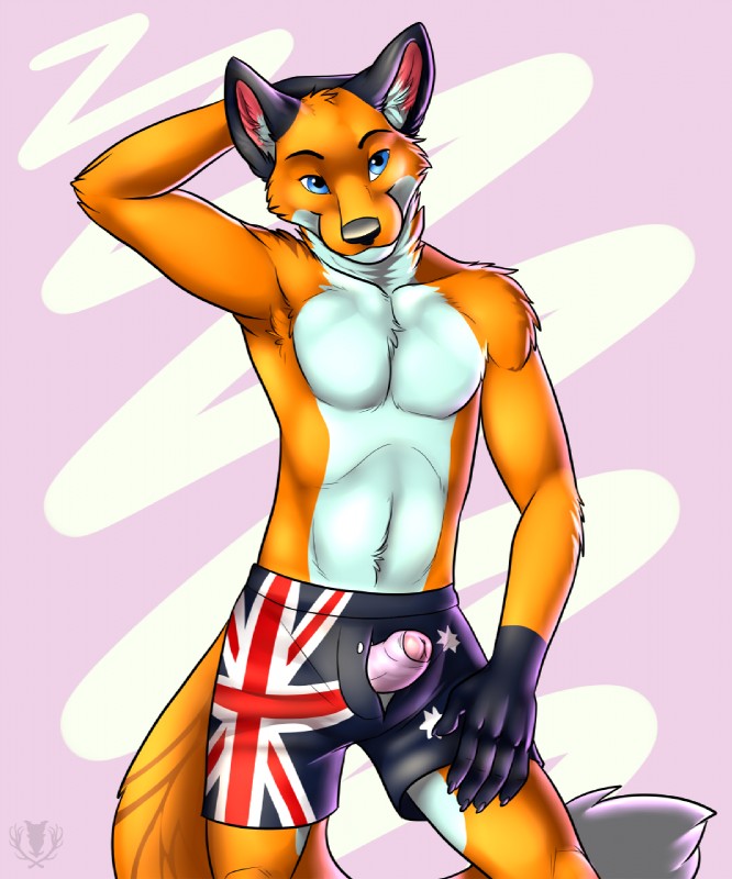 anthro armpit_hair australian_flag biped blue_eyes body_hair boxers_(clothing) chest_tuft claws clothed clothing erection flag flag_clothing flag_print flag_underwear fluffy fluffy_tail foreskin front_view fur genitals gloves_(marking) hand_behind_head humanoid_genitalia humanoid_penis looking_at_viewer male markings muscular muscular_anthro muscular_male orange_body orange_fur partially_retracted_foreskin pecs penis penis_poking_out penis_through_fly pose print_clothing print_underwear simple_background solo standing tail topless tuft unbuttoned underwear undressing white_body white_fur vallhound orithan canid canine fox mammal 2013 digital_media_(artwork) hi_res portrait three-quarter_portrait