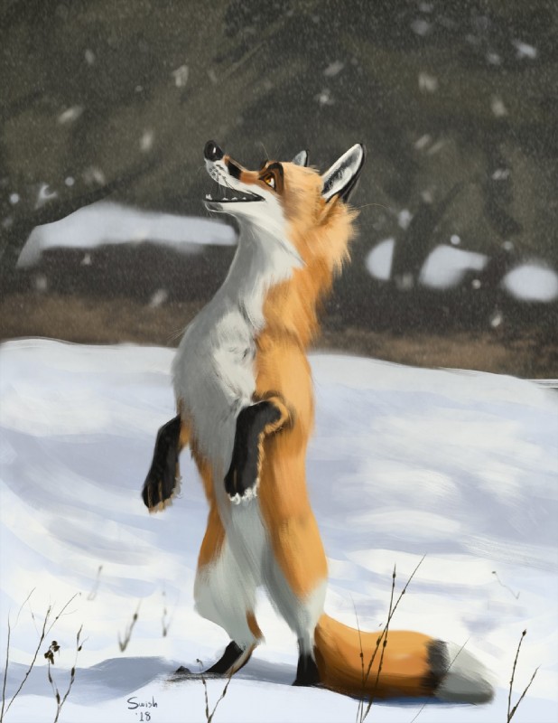 ambiguous_gender anthro black_nose fangs feral fur multicolored_body multicolored_fur multicolored_tail open_mouth open_smile orange_body orange_fur outside smile snow solo tail teeth whiskers swish canid canine fox mammal 2018 hi_res