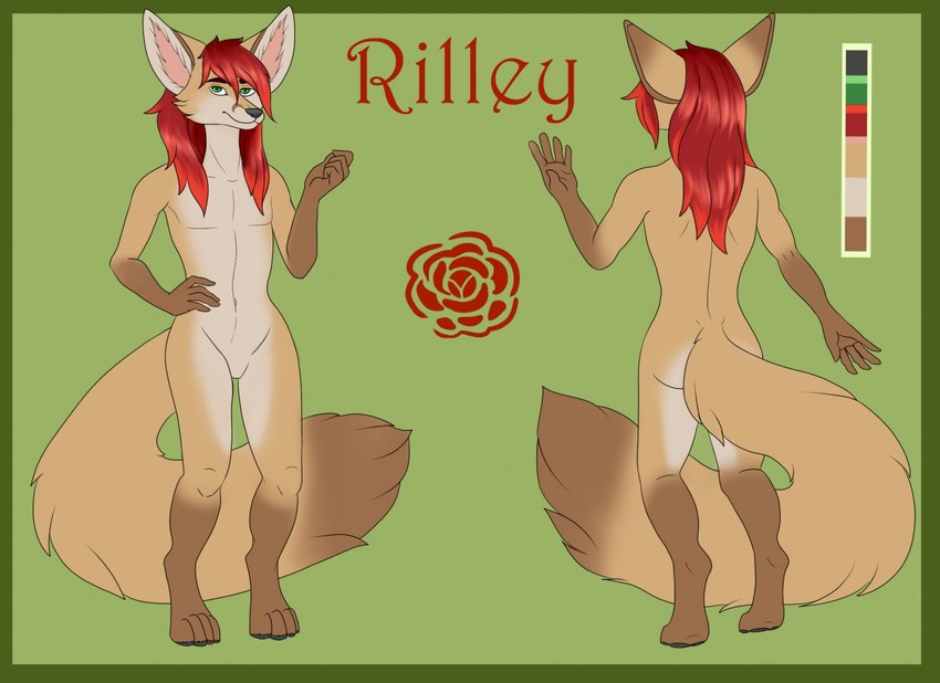 rilley created by tiggybloom