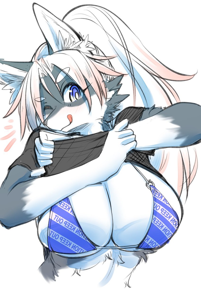 5_fingers anthro big_breasts bikini bikini_top black_nose blue_bikini_top breasts cheek_tuft clothed clothing clothing_lift eyelashes facial_tuft female female_anthro fingers fluffy front_view fur grey_body grey_fur hair inner_ear_fluff kemono licking licking_lips long_hair looking_at_viewer multicolored_body multicolored_fur o-ring o-ring_bikini o-ring_bikini_top o-ring_swimwear one_eye_closed purple_eyes shirt shirt_lift simple_background skimpy_bikini solo swimwear t-shirt text tongue tongue_out topwear tuft two-piece_swimsuit two_tone_body two_tone_fur white_background white_body white_fur white_hair wink winking_at_viewer ookamiwaho okami_bark canid canine canis mammal wolf 2:3 digital_media_(artwork) english_text half-length_portrait hi_res portrait shaded