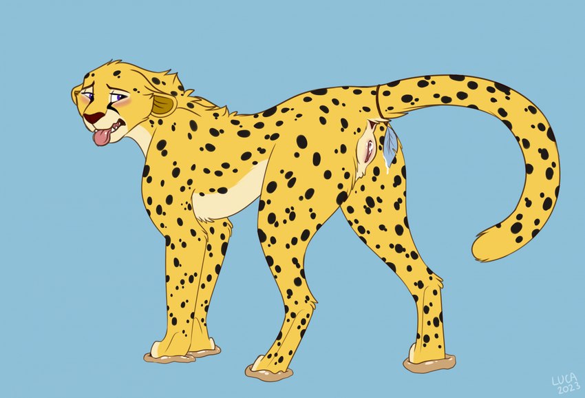 animal_genitalia animal_pussy blush breath edging feathers feline_genitalia feline_pussy female feral genitals glue leaking_pussy loose_feather orgasm_denial panting pent_up predicament pussy solo struggling stuck_feet caraluca phoebe_cheetah cheetah felid feline mammal hi_res