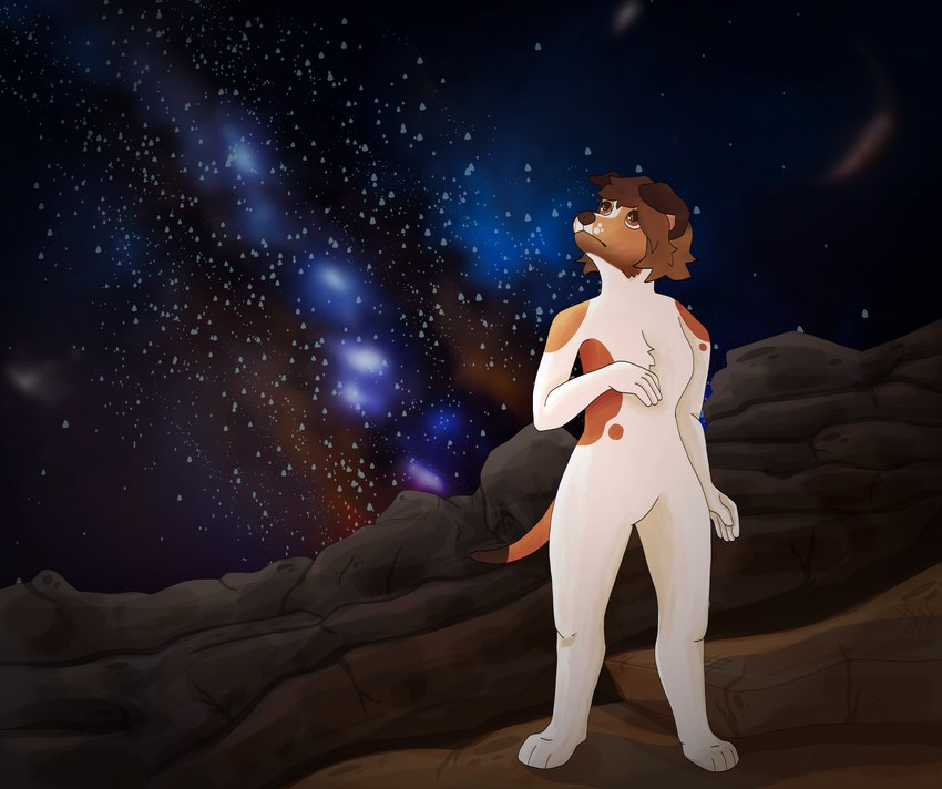 5_fingers anthro brown_eyes brown_spots featureless_crotch fingers humanoid_hands looking_up male nude rocky_terrain sky solo spots standing star starry_sky white_body laika_starchaser_(godskaratekid) absurd_res hi_res