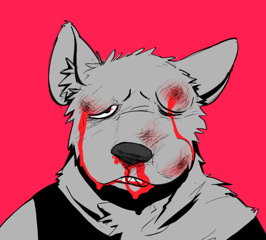 anthro beaten blood bodily_fluids bruised clothing eyebrows hair male nosebleed simple_background solo topwear wounded 3000vnd canid canine mammal headshot_portrait portrait