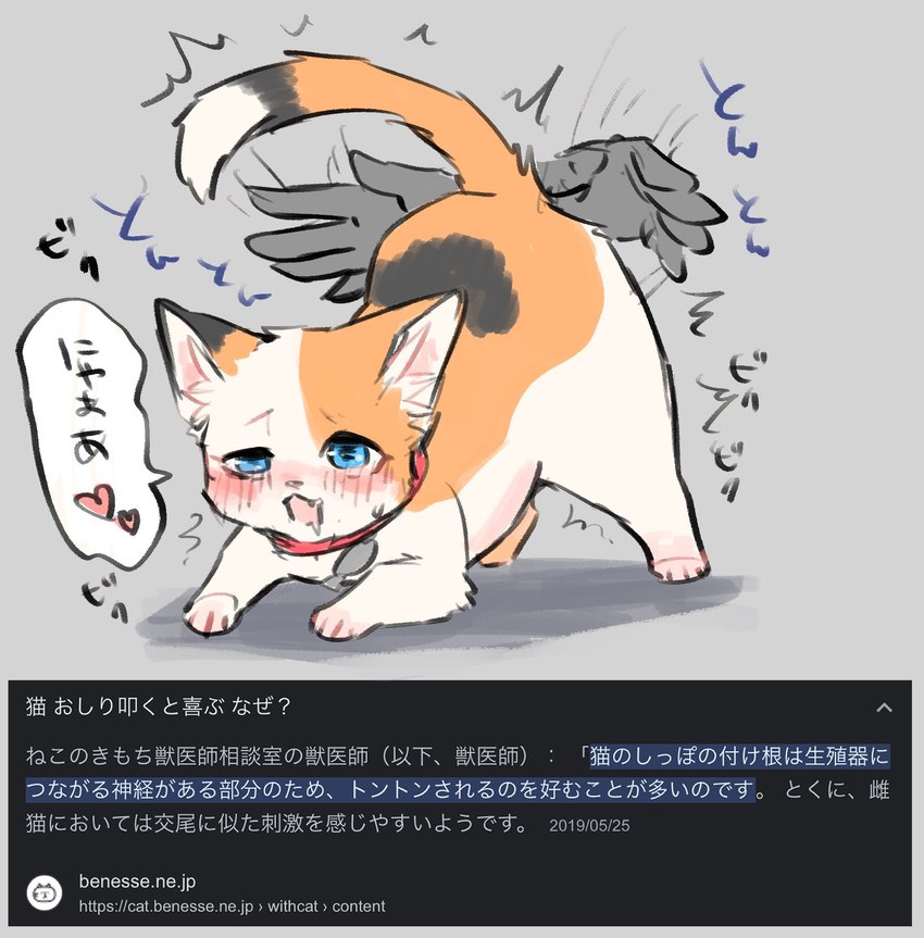 ambiguous_gender ass_up blue_eyes blush bodily_fluids butt_slap collar dipstick_tail disembodied_hand drooling duo educational facts feral fur heart_symbol looking_pleasured markings open_mouth orange_body orange_fur red_collar saliva slap sweat sweatdrop tail tail_markings text white_body white_fur tsukune_minaga neko_chan_(tsukune_minaga) calico_cat domestic_cat felid feline felis mammal hi_res japanese_text translated