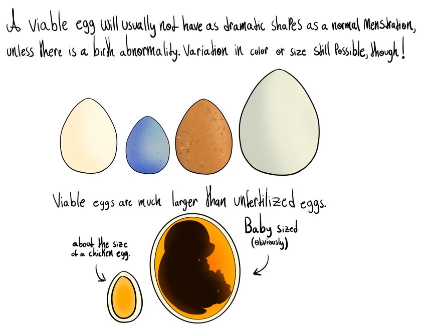 ambiguous_gender anatomy_reference anthro baby egg fetus internal narration text young mousechop avian bird comic english_text hi_res