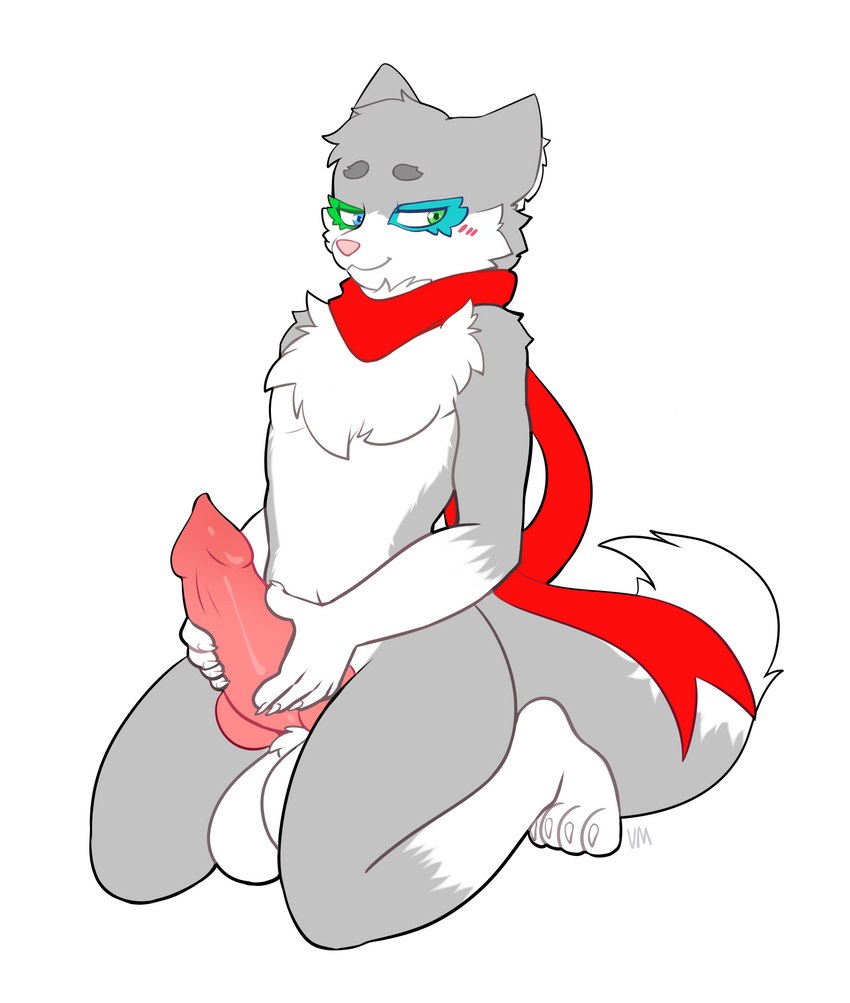 anthro balls big_balls big_penis blush blush_lines erection fur genitals hand_on_penis inner_ear_fluff knot male mostly_nude neck_tuft penis scarf scarf_only simple_background solo tuft white_background villmix wolf_wolfindeir_(thewolfycreator) canid canine canis mammal wolf absurd_res digital_media_(artwork) hi_res