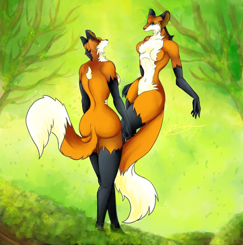 anthro big_butt breasts butt curvy_figure duo female grass hourglass_figure looking_at_viewer nature navel plant tree cassielink canid canine fox mammal red_fox true_fox digital_media_(artwork)