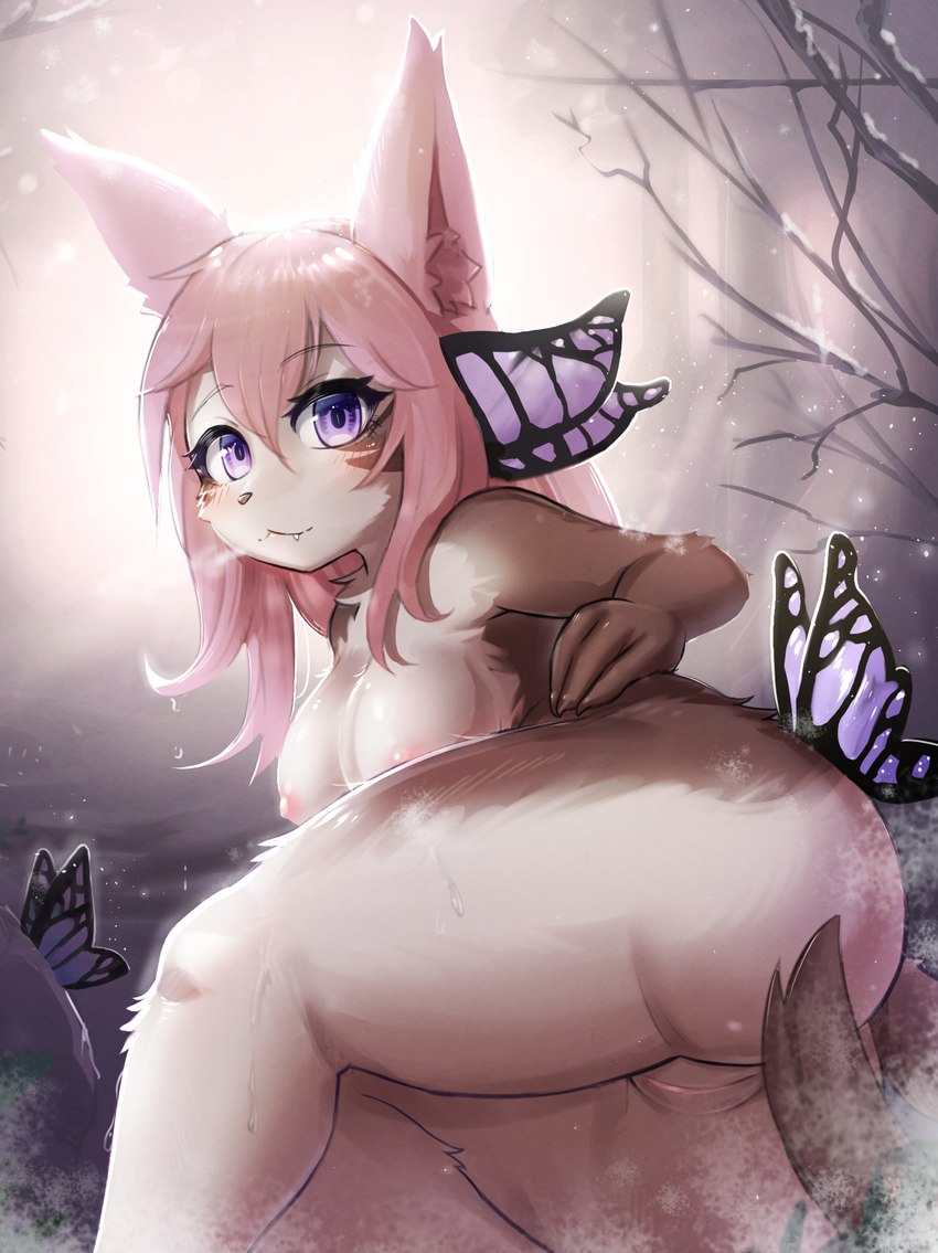 anthro areola blush breasts brown_body brown_fur butt cute_fangs detailed_ambient_creature eyelashes fangs female female_anthro fur genitals group hair kemono looking_at_viewer nipples nude on_butt on_rock pink_hair purple_eyes pussy rock solo_focus teeth white_body white_fur healingpit ambient_arthropod ambient_butterfly ambient_flier ambient_insect arthropod butterfly domestic_cat felid feline felis insect lepidopteran mammal 2022 digital_media_(artwork) hi_res