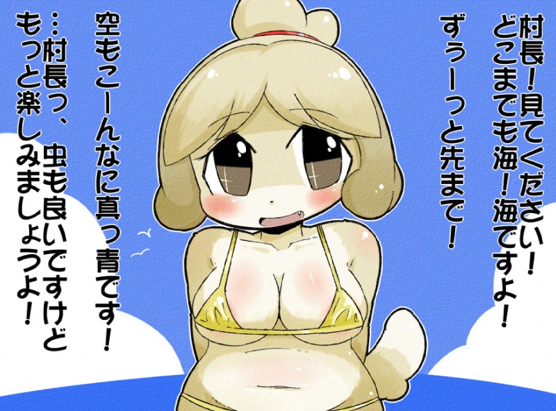 anthro bikini blush bodily_fluids breasts clothed clothing fangs female navel skimpy slightly_chubby solo sweat swimwear teeth text two-piece_swimsuit wet nikuq_owata animal_crossing nintendo isabelle_(animal_crossing) canid canine canis domestic_dog mammal shih_tzu toy_dog japanese_text translation_request