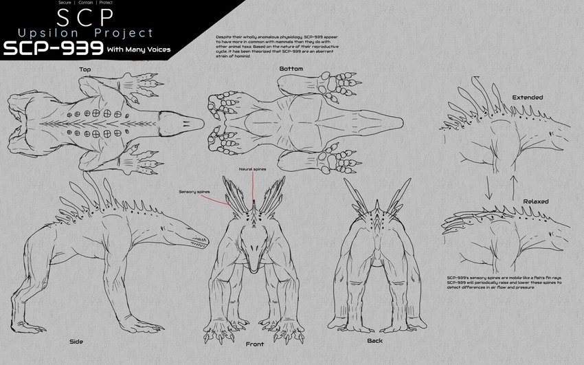 4_fingers 4_toes ambiguous_gender back_spikes back_spines bird's-eye_view black_text claws digitigrade eye_spots eyeless feet feral finger_claws fingers front_view grey_background hairless high-angle_view low-angle_view mouth_closed muscular muscular_ambiguous muscular_feral orthographic quadruped rear_view setae_(anatomy) side_view simple_background snout spikes spikes_(anatomy) spines text toe_claws toes white_text worm's-eye_view kenneth_crooker scp_foundation mammal monster scp-939 16:10 digital_drawing_(artwork) digital_media_(artwork) english_text greyscale hi_res line_art monochrome multiple_images species_name widescreen