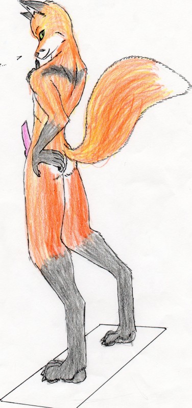 anthro butt erection genitals knot looking_at_viewer male nude penis raised_tail solo tail wred wred_(character) canid canine fox mammal absurd_res hi_res