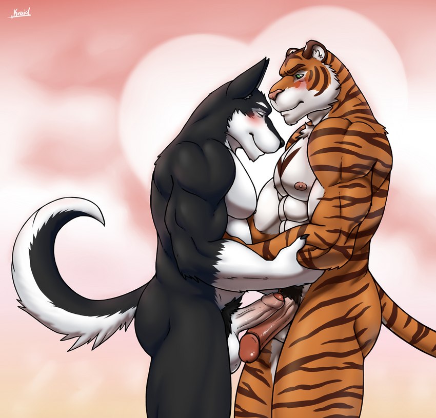 anthro black_body black_fur blush duo eyes_closed frottage fur genitals hug interspecies looking_at_another looking_at_partner male male/male muscular muscular_anthro muscular_male nipples nude orange_body orange_fur penile penis pink_background pubes sex simple_background slightly_chubby striped_body striped_fur stripes kraidhiel canid canine canis felid mammal pantherine tiger wolf hi_res