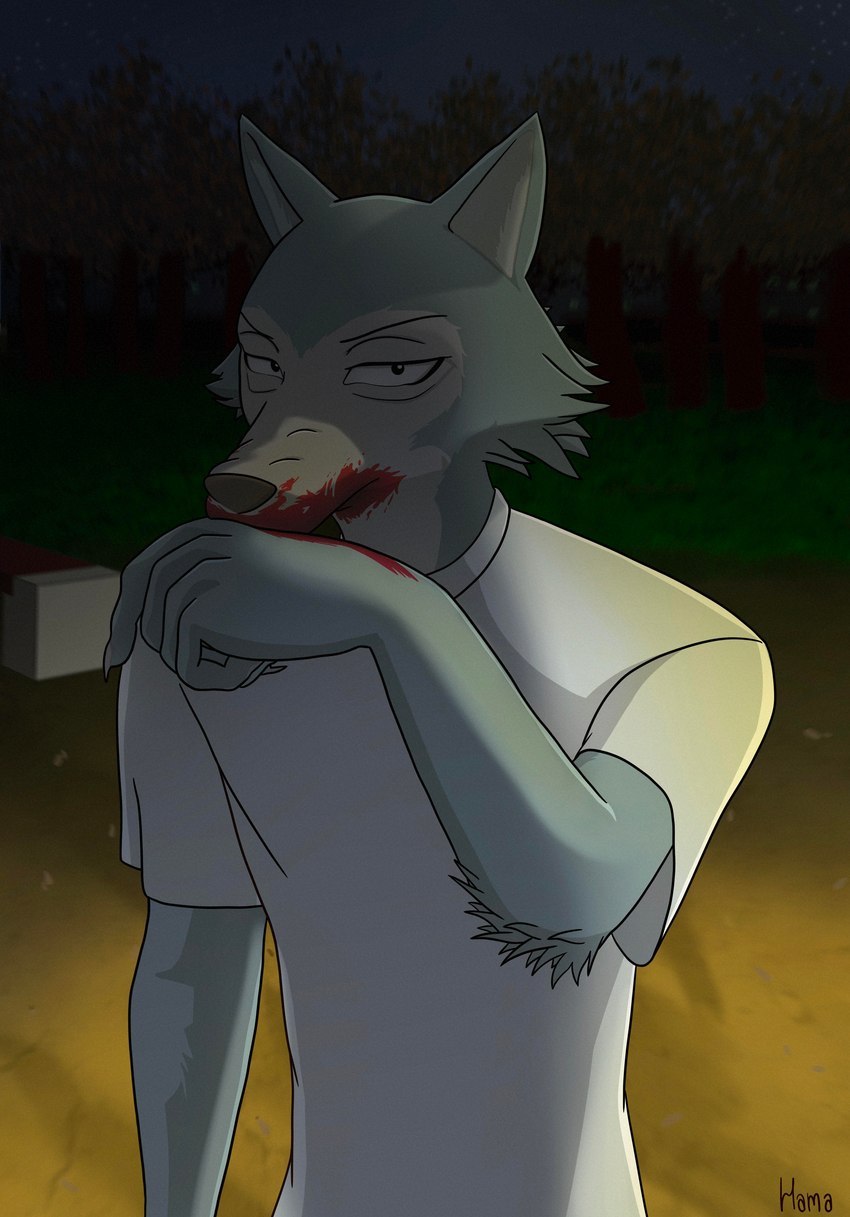 anthro blood bodily_fluids male slim solo hamapup beastars legoshi_(beastars) canid canine canis humanoid mammal wolf absurd_res hi_res